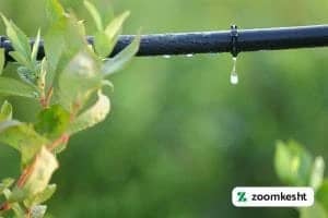 سیستم آبیاری