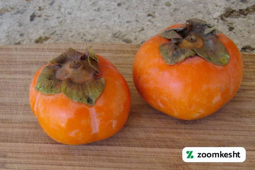 بیماری های خرمالو