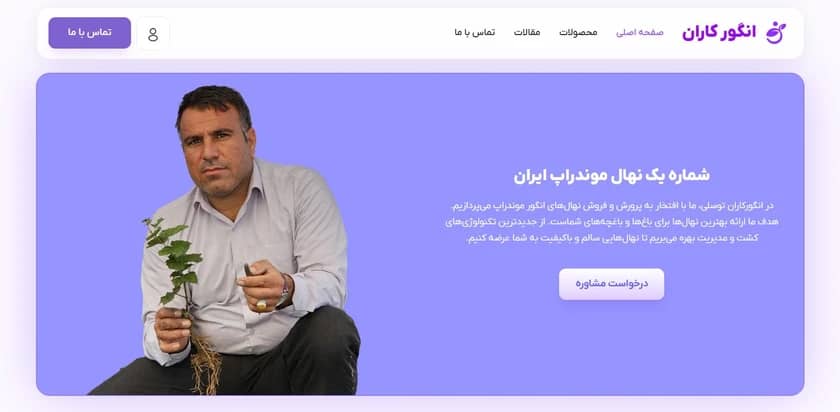 نهال انگور موندراپ
