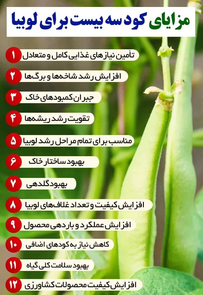 کود سه بیست لوبیا