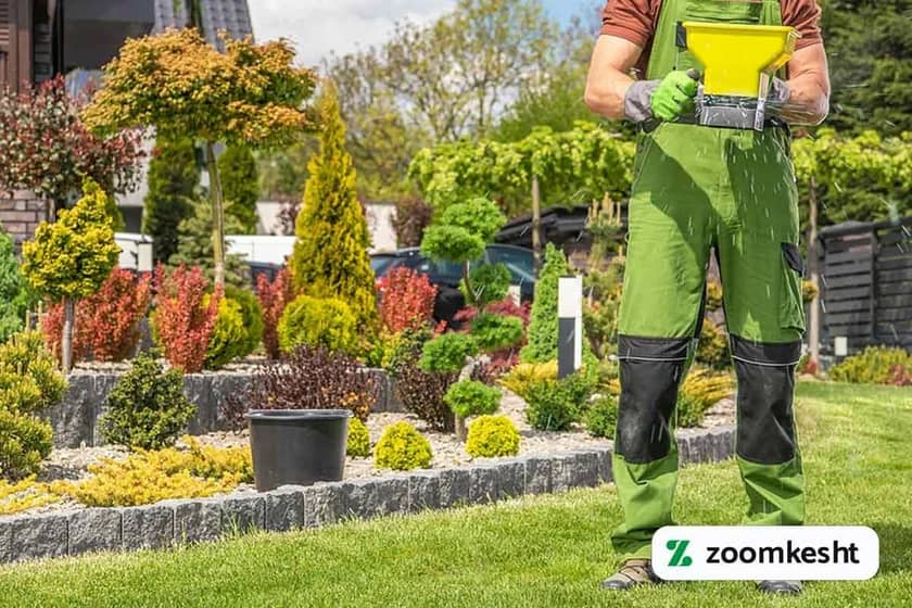 کوددهی تابستانی