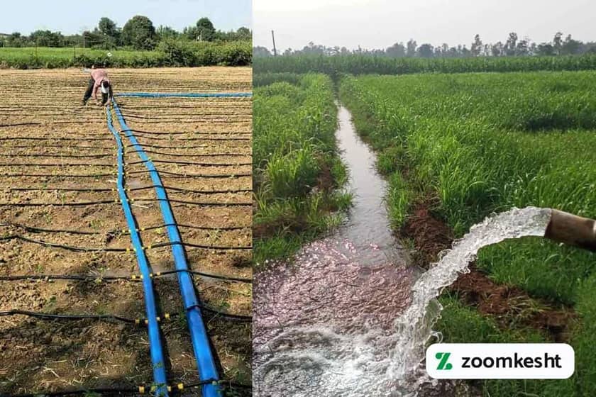 تفاوت آبیاری قطره ای با آبیاری سنتی