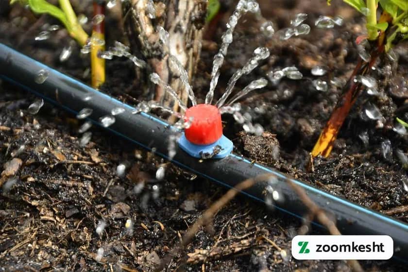 آبیاری قطره ای