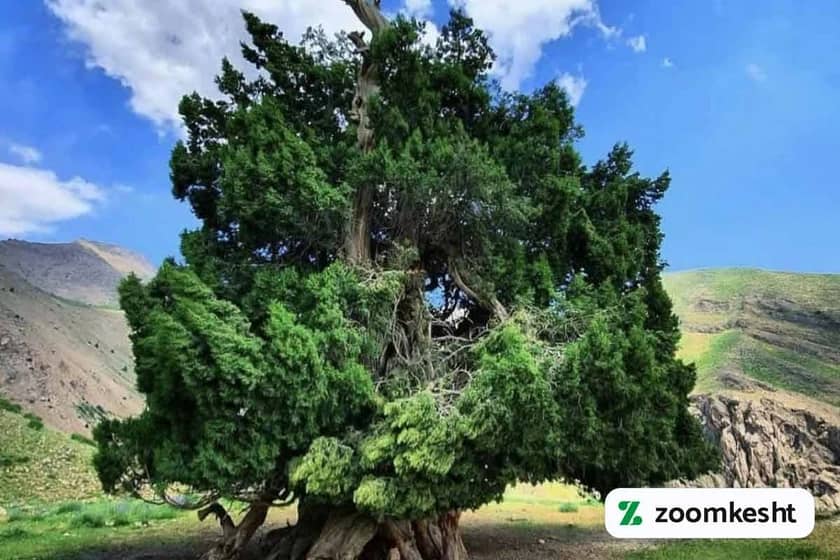 ارس شهرستانک البرز