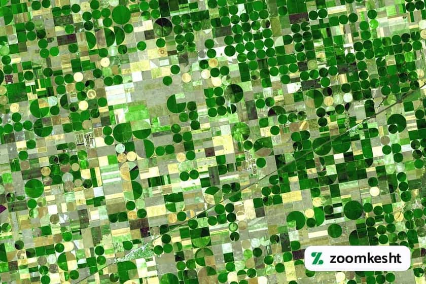 کشاورزی آمریکا