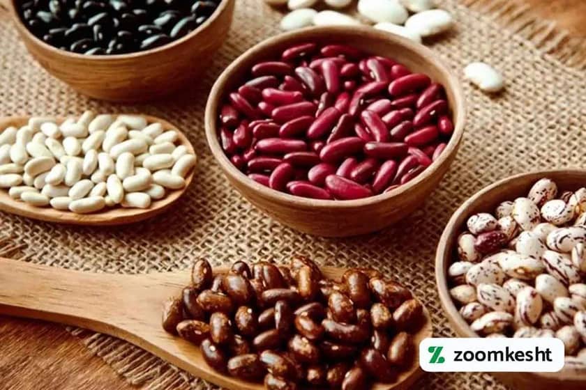 بهترین بذر لوبیا چیتی