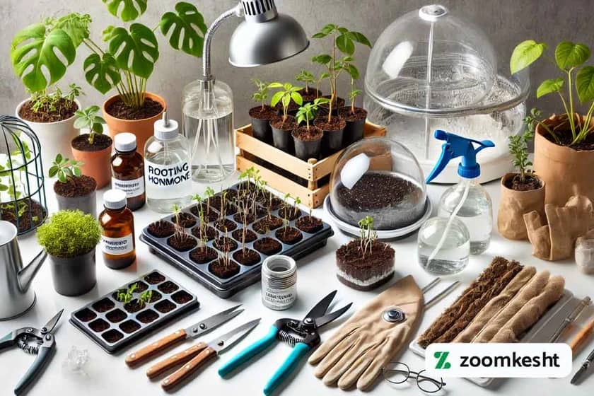 تجهیزات مورد نیاز تکثیر گیاهان آپارتمانی