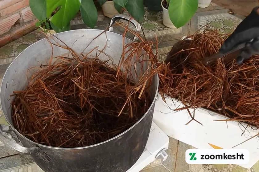 استریل سازی بستر کشت قارچ