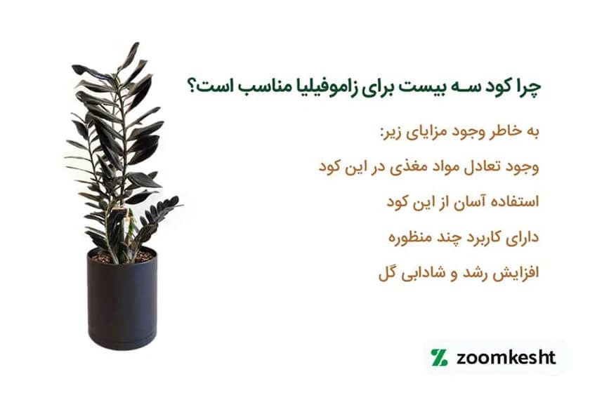 کود سه بیست برای زاموفیلیا