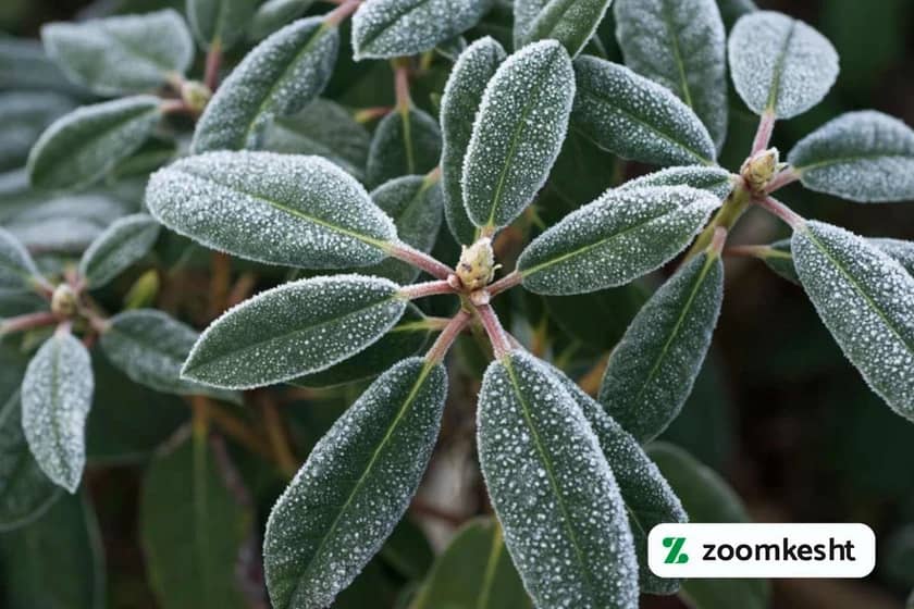 1765999077426-645373522.webp 1765999077426-645373522.webp