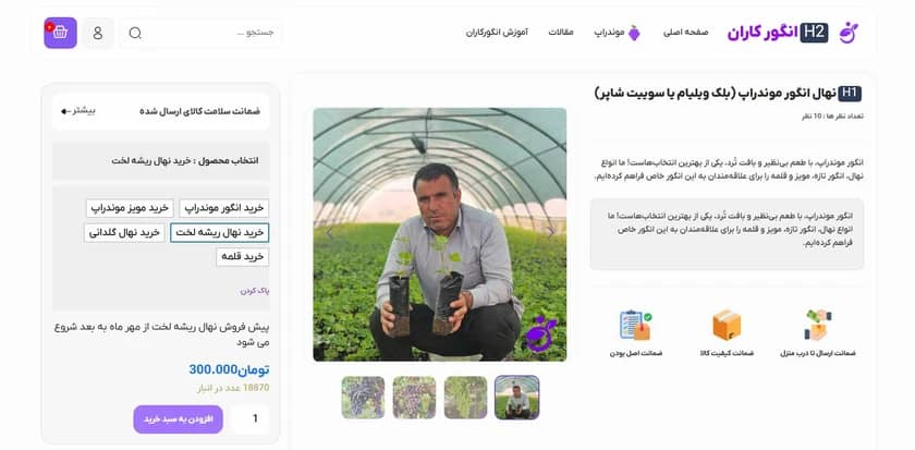 قیمت نهال انگور موندراپ