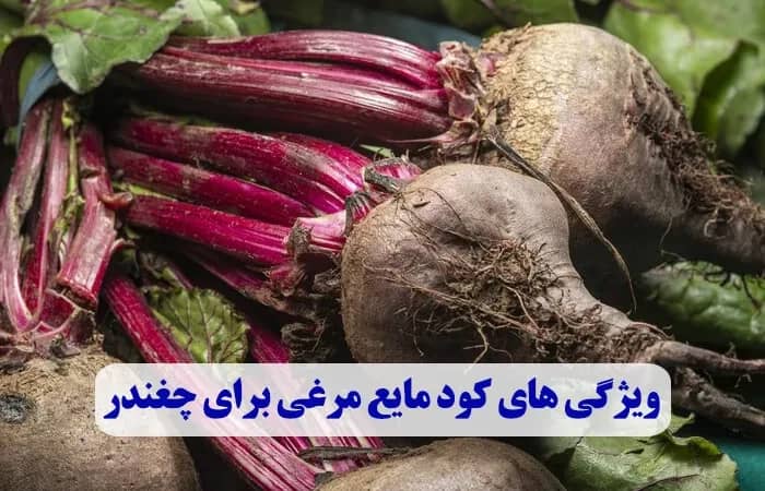 ویژگی های کود مایع مرغی برای چغندر