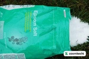 1765997283795-203016656.webp کود منیزیم