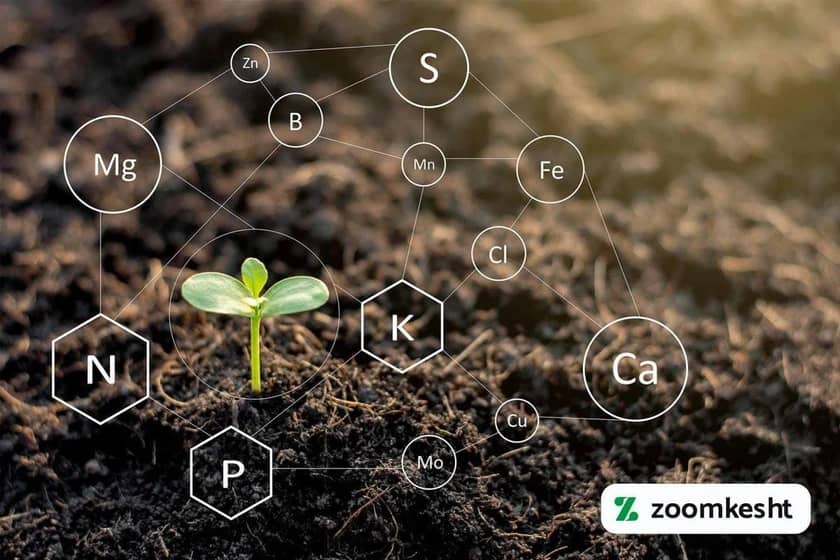 1765997284124-19932396.webp 1765997284124-19932396.webp