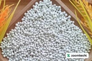 1765997289807-438248581.webp 1765997289807-438248581.webp