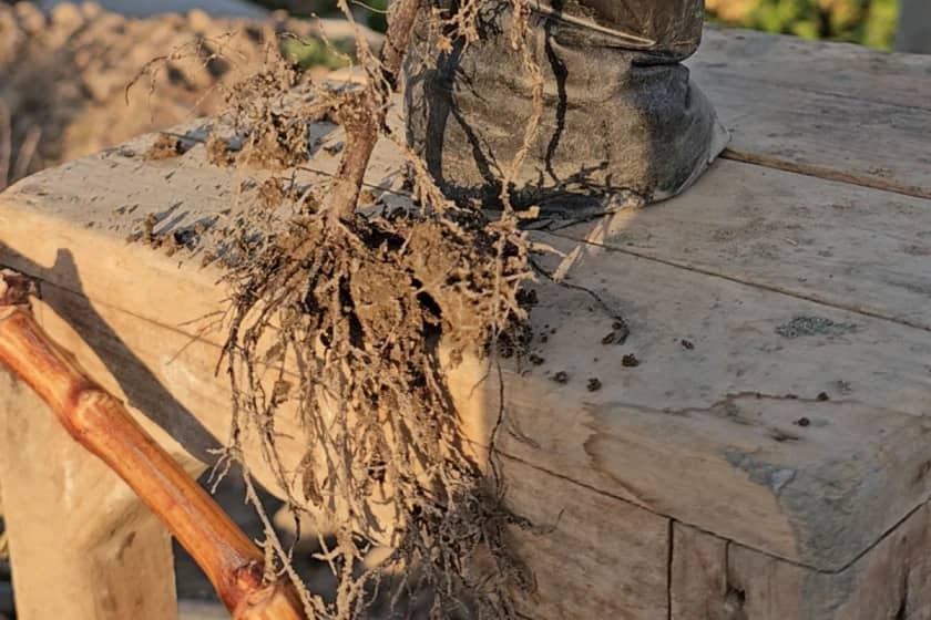 1765997307420-195519366.webp 1765997307420-195519366.webp