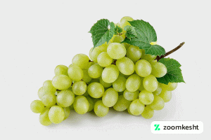 1765997318886-206556174.webp معرفی نهال انگور عسگری