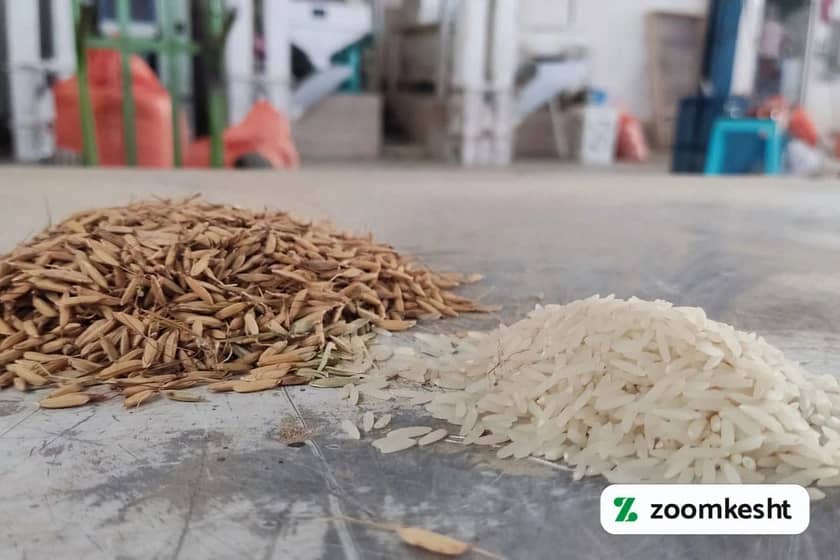 1765997434384-239255488.webp کاشت برنج