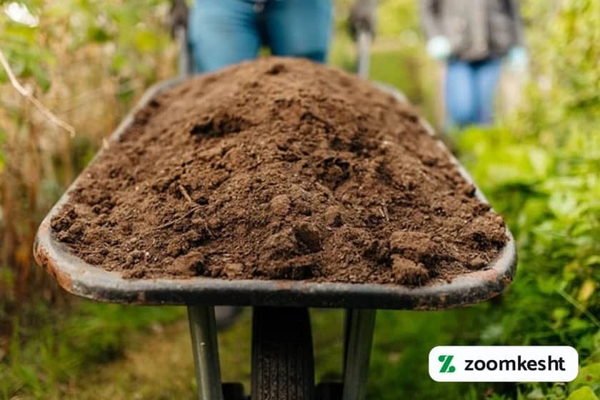 1765997450485-748838662.webp کرم های سبزیجات