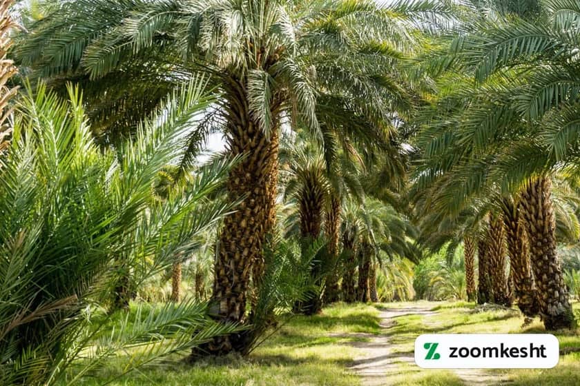 1765997459044-663063956.webp 1765997459044-663063956.webp