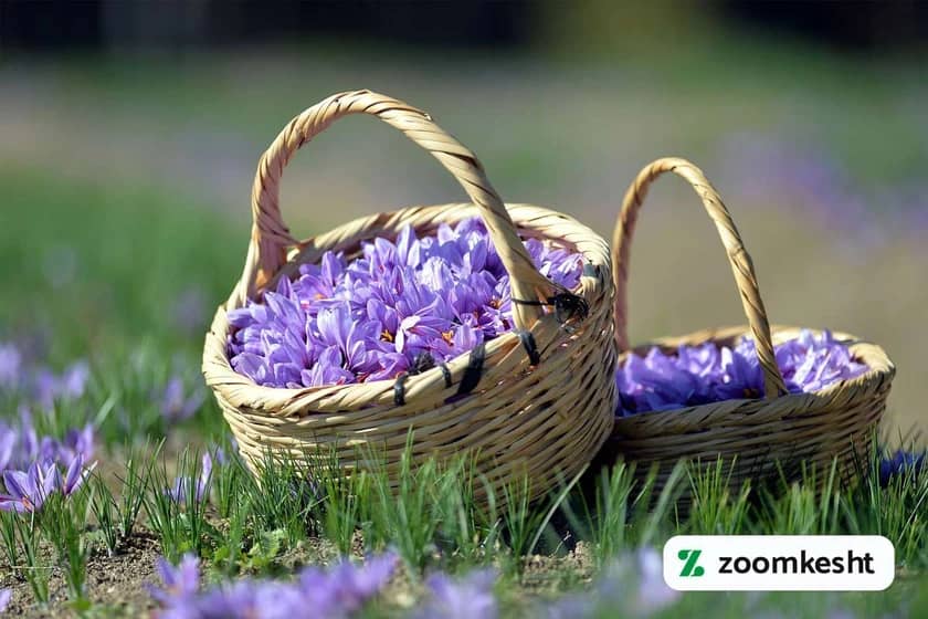 1765997466423-712000744.webp 1765997466423-712000744.webp