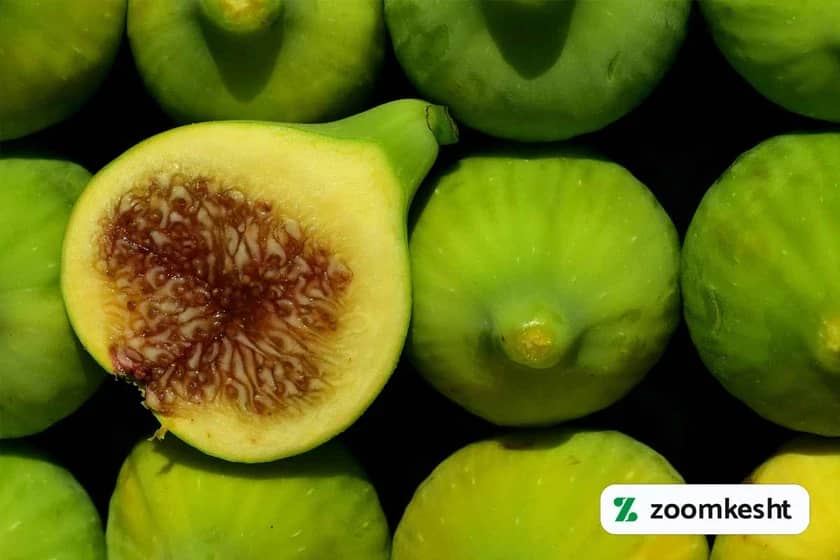 1765997470317-28425121.webp کوددهی انجیر