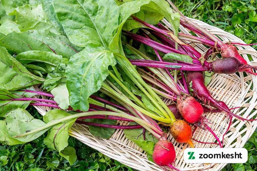 1765997487785-745483589.webp 1765997487785-745483589.webp