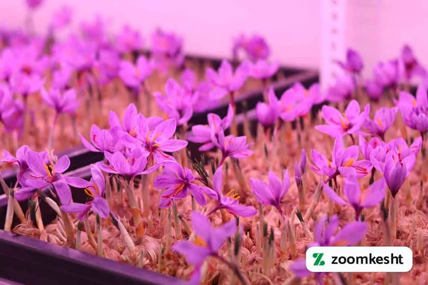 1765997552214-976353780.webp 1765997552214-976353780.webp