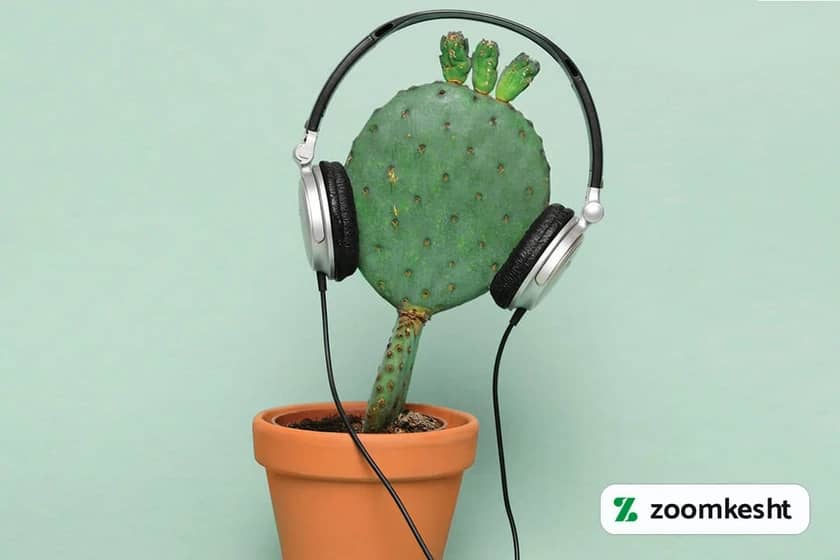 1765997685016-797205290.webp تاثیر موسیقی بر رشد گل و گیاهان