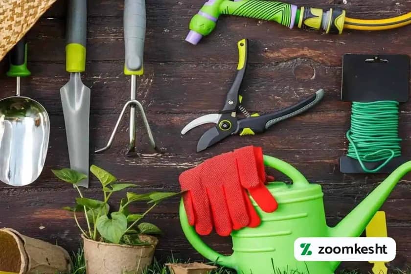 1765997689017-371892393.webp 1765997689017-371892393.webp