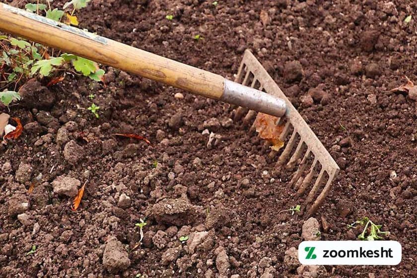 1765997690232-863055575.webp 1765997690232-863055575.webp