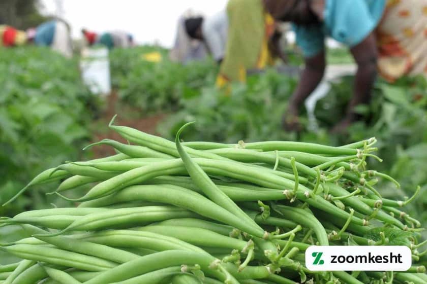 1765997696909-539136716.webp 1765997696909-539136716.webp