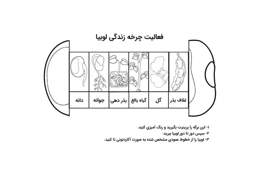 1765997699385-593724361.webp 1765997699385-593724361.webp