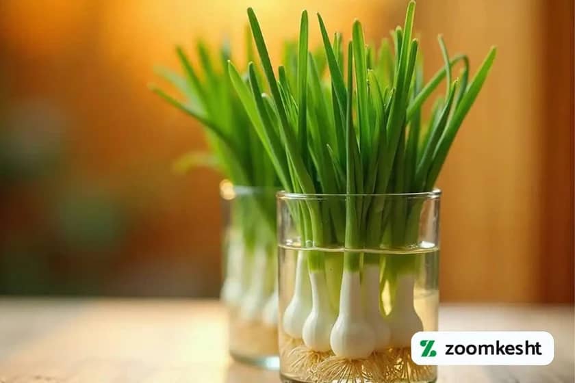 1765997706884-877004251.webp 1765997706884-877004251.webp