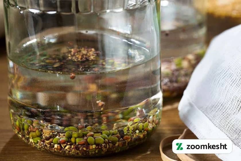 1765997708085-957452861.webp کاشت سبزه