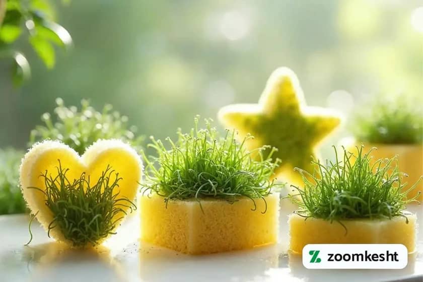 1765997709216-620966738.webp 1765997709216-620966738.webp