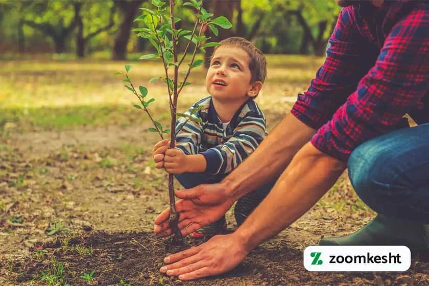 1765997721822-784099865.webp کاشت درخت