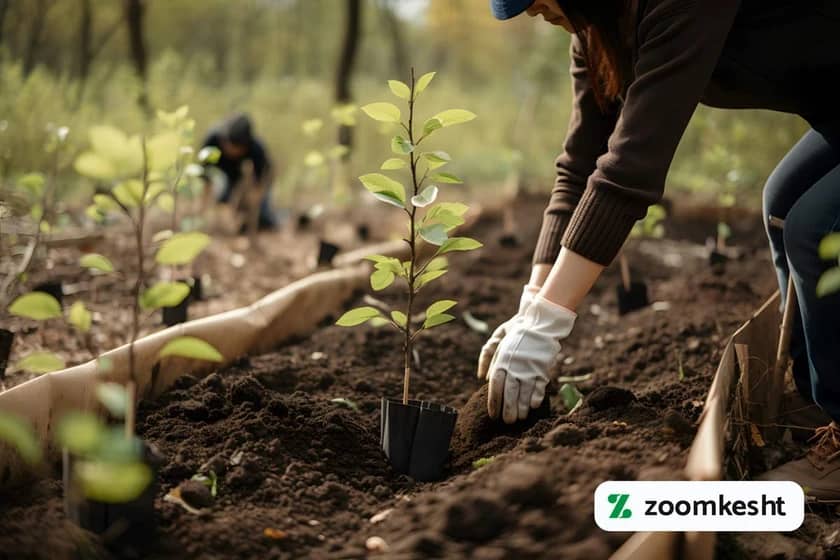 1765997723126-70200678.webp 1765997723126-70200678.webp