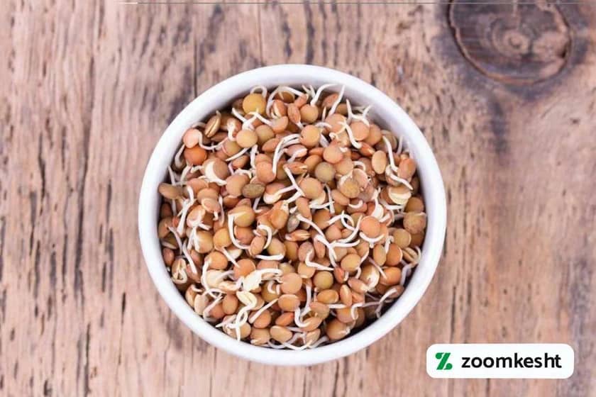 1765997725713-405062838.webp 1765997725713-405062838.webp