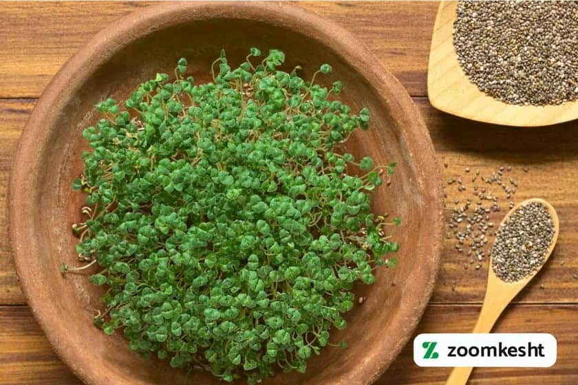 1765997746222-767049843.webp سبزه تخم شربتی