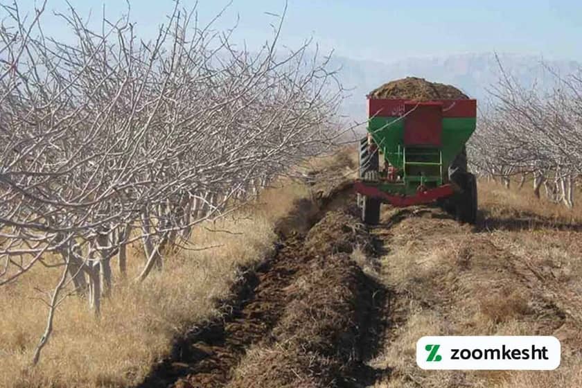 1765997767020-381818784.webp کوددهی پسته در زمستان