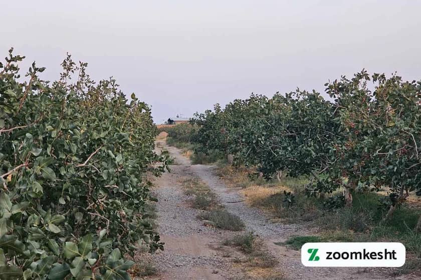 1765997770623-716790202.webp 1765997770623-716790202.webp