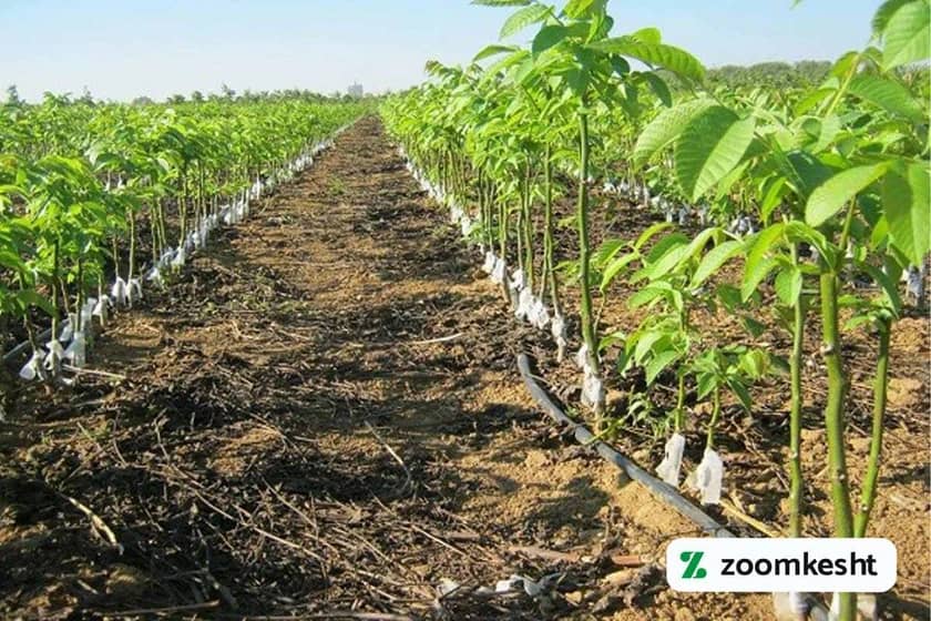 1765997773385-293039378.webp 1765997773385-293039378.webp