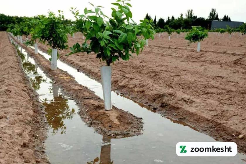 1765997774884-621611633.webp 1765997774884-621611633.webp