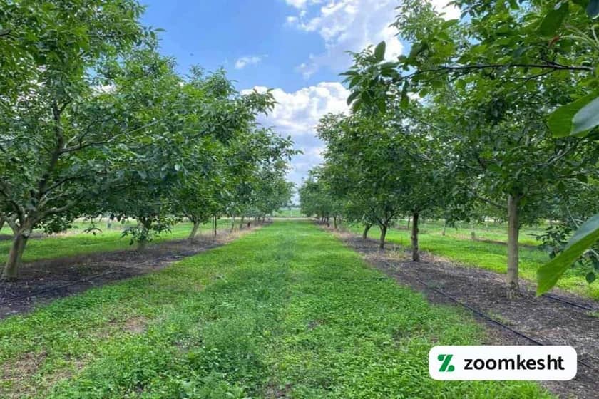 1765997776119-8259039.webp 1765997776119-8259039.webp