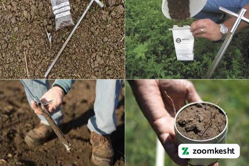 1765997828629-373507045.webp 1765997828629-373507045.webp