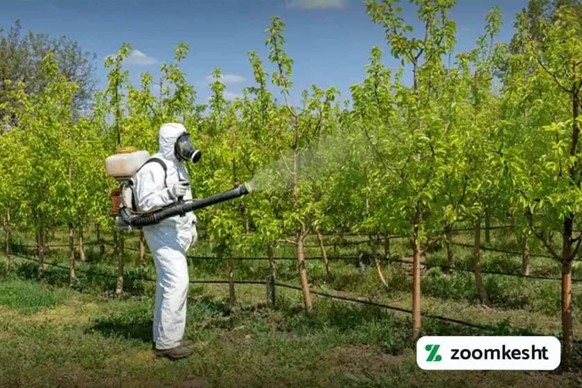 1765997830022-300533117.webp 1765997830022-300533117.webp