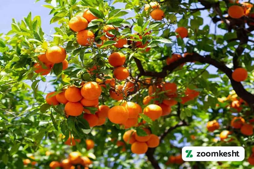 1765997835731-981920308.webp 1765997835731-981920308.webp