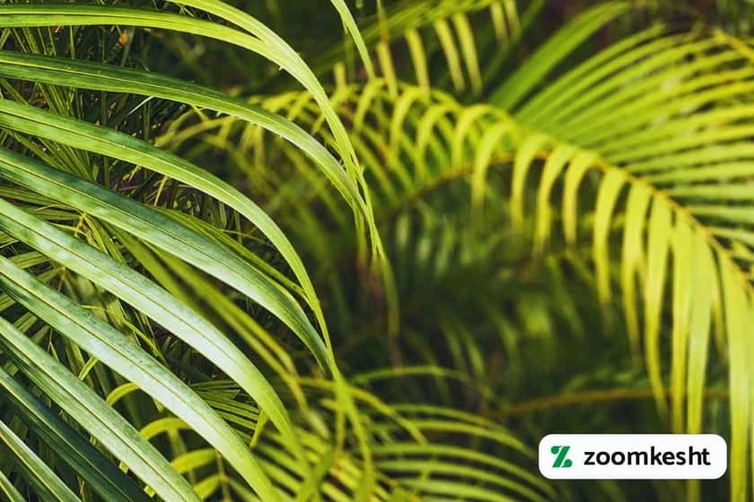 1765997846485-578562206.webp 1765997846485-578562206.webp