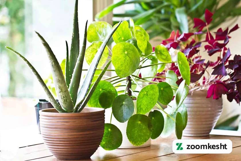 1765997849212-825908402.webp 1765997849212-825908402.webp